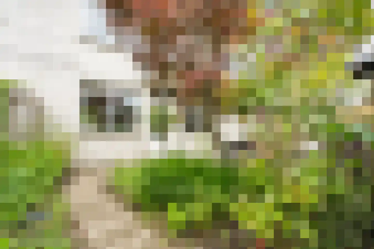 Pedro Luis Briónstraat 53 Utrecht thumbnail 27