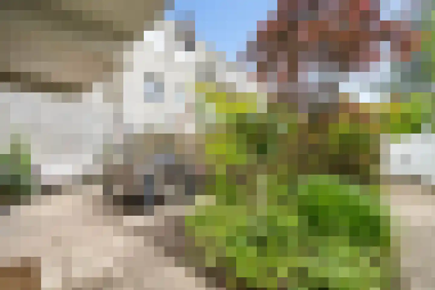 Pedro Luis Briónstraat 53 Utrecht thumbnail 4