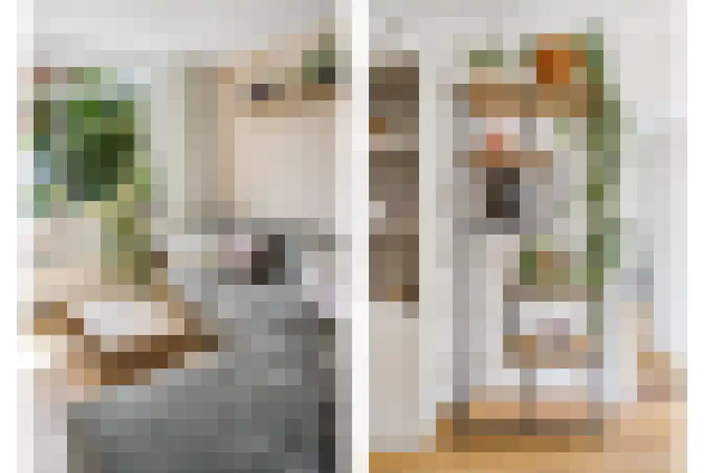 Pedro Luis Briónstraat 53 Utrecht thumbnail 9