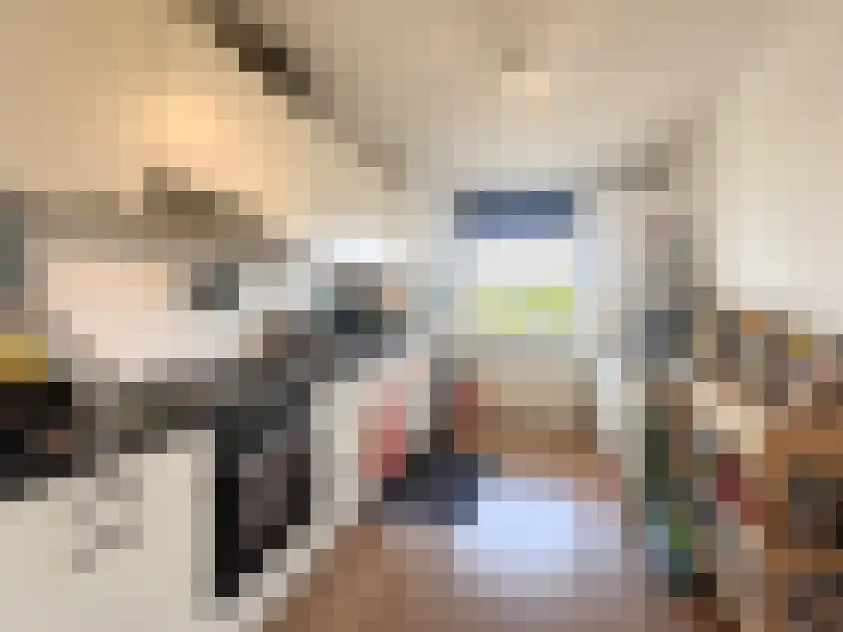 Pedro Luis Briónstraat 77 Utrecht thumbnail 5