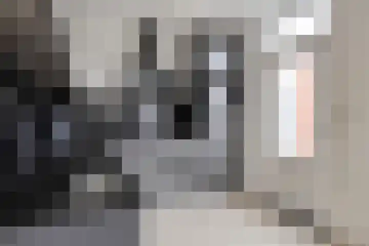 Peeberg 103 Ossendrecht thumbnail 12