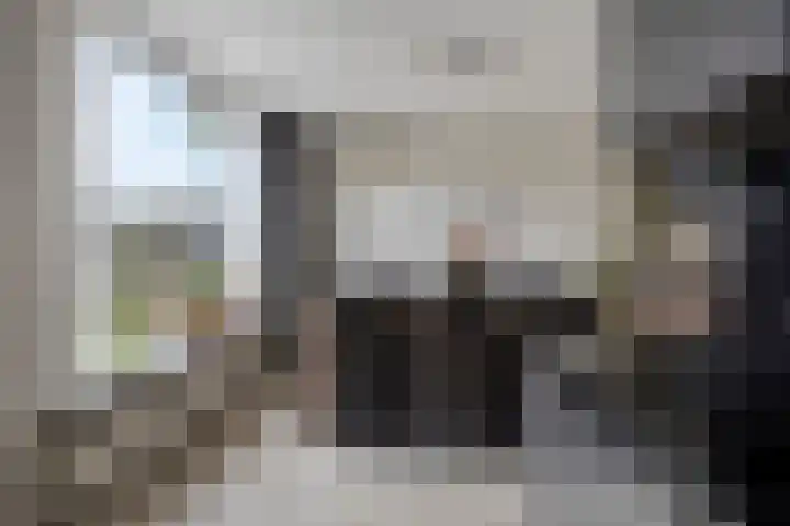 Peeberg 103 Ossendrecht thumbnail 14