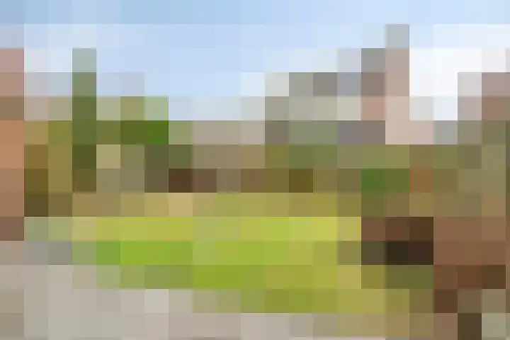 Peeberg 103 Ossendrecht thumbnail 32