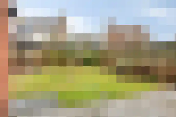 Peeberg 103 Ossendrecht thumbnail 33