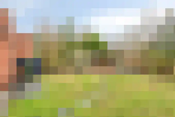 Peeberg 103 Ossendrecht thumbnail 34