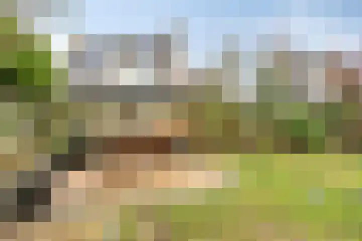 Peeberg 103 Ossendrecht thumbnail 35