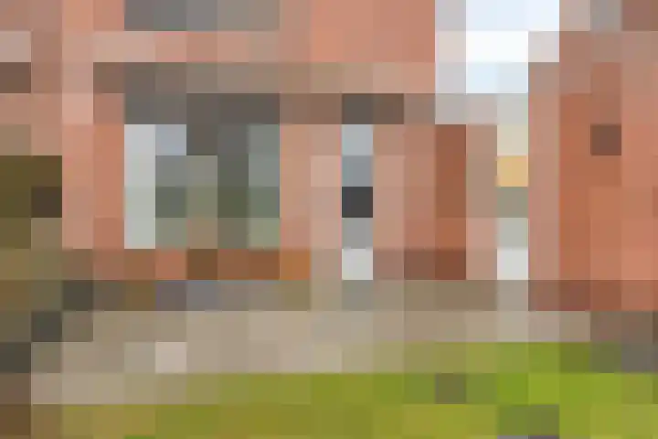 Peeberg 103 Ossendrecht thumbnail 36