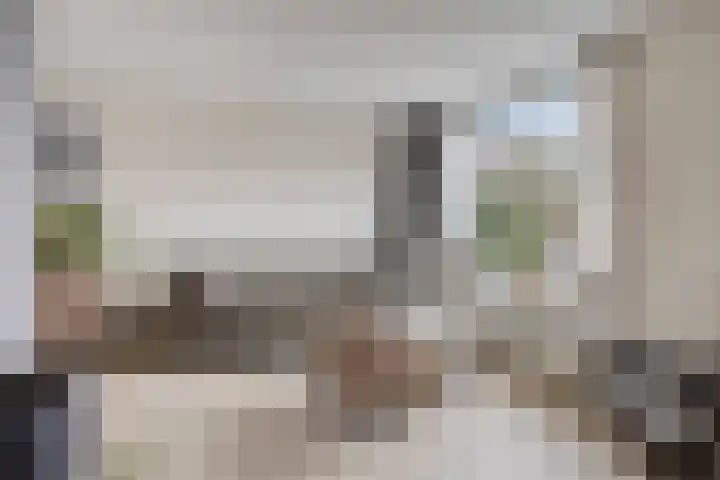 Peeberg 103 Ossendrecht thumbnail 4
