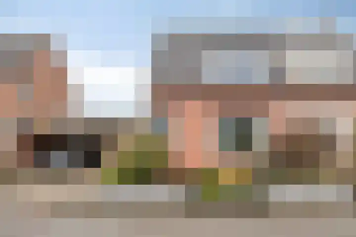 Peeberg 103 Ossendrecht thumbnail 41