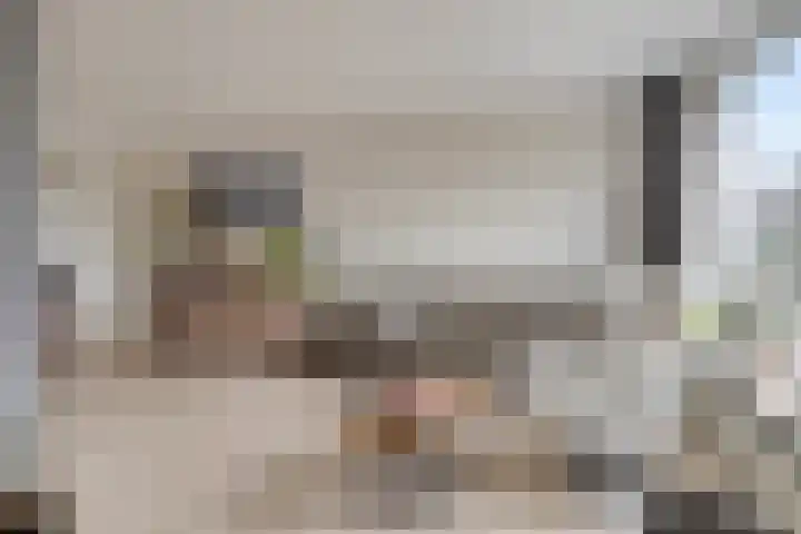 Peeberg 103 Ossendrecht thumbnail 5