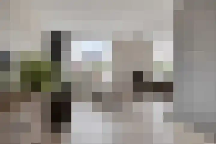 Peeberg 103 Ossendrecht thumbnail 6