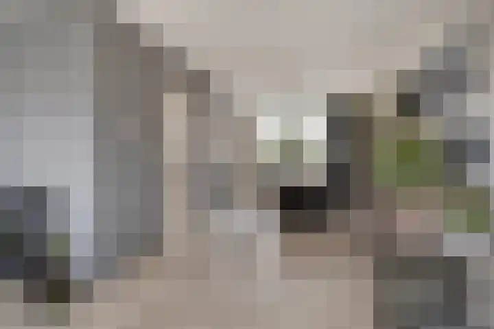 Peeberg 103 Ossendrecht thumbnail 8
