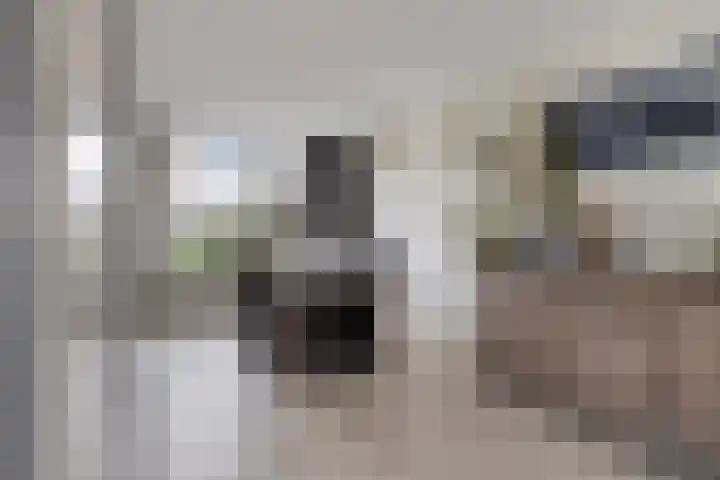 Peeberg 103 Ossendrecht thumbnail 9
