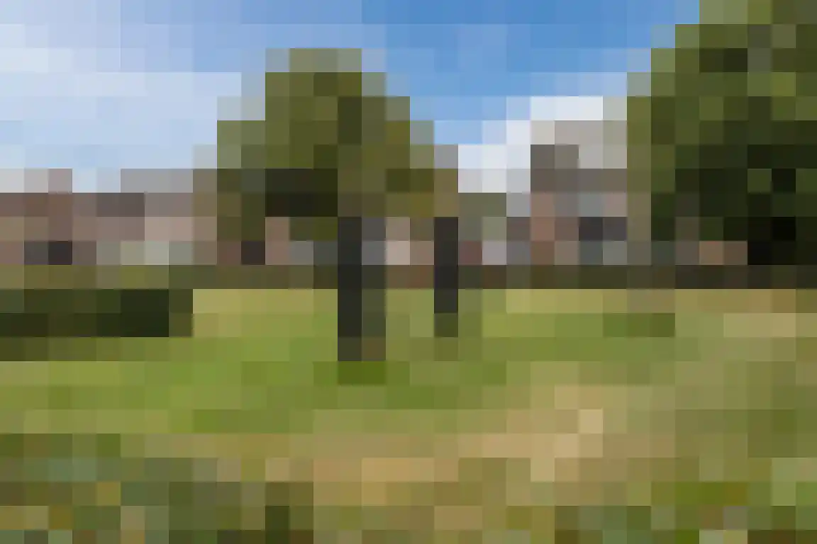 Peeberg 13 Ossendrecht thumbnail 33