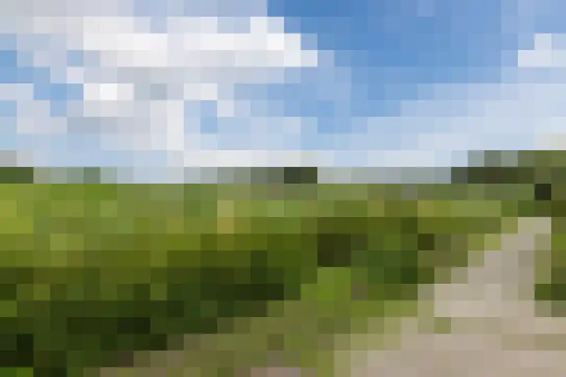 Peeberg 13 Ossendrecht thumbnail 34