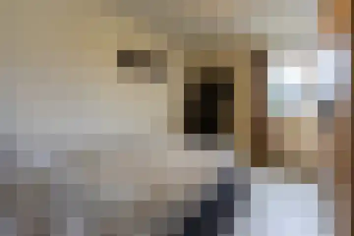 Peeberg 67 Ossendrecht thumbnail 16