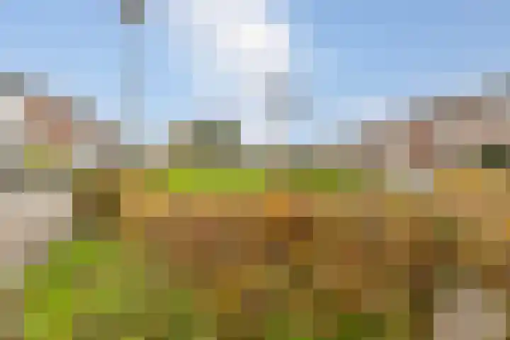 Peeberg 67 Ossendrecht thumbnail 35