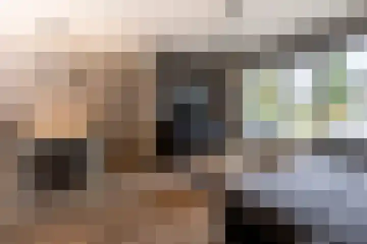 Peeberg 67 Ossendrecht thumbnail 6