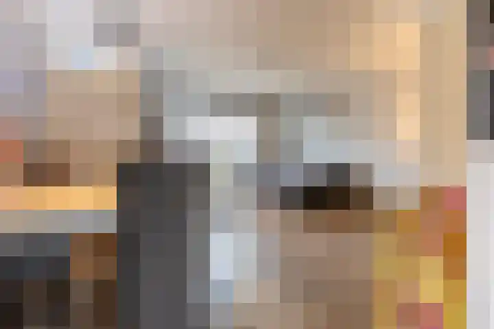 Peeberg 67 Ossendrecht thumbnail 8