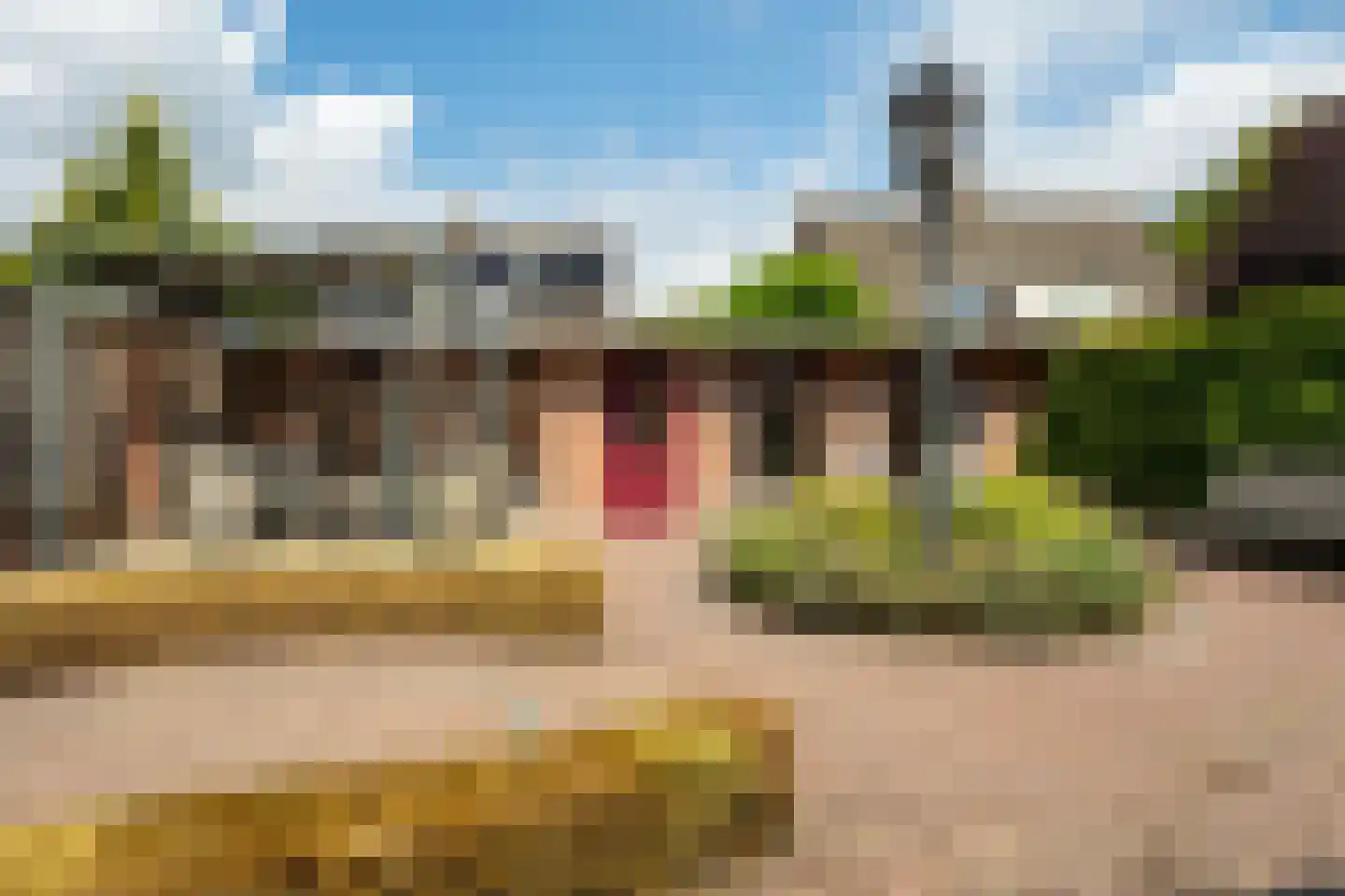 Peeberg 73 Ossendrecht thumbnail 32