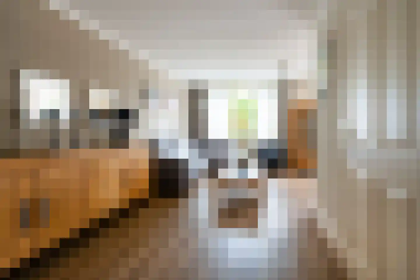 Peeberg 73 Ossendrecht thumbnail 5
