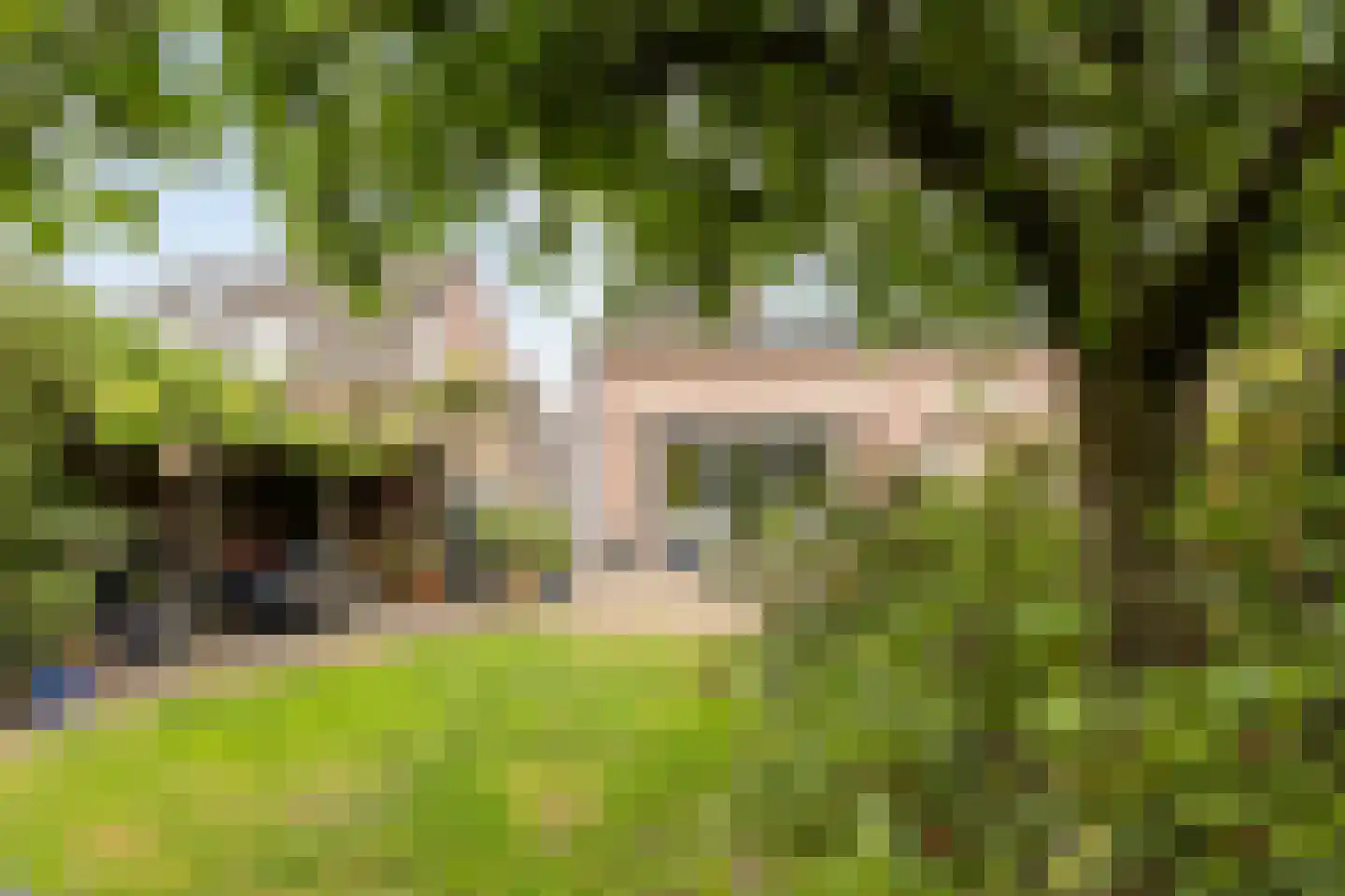 Peeberg 85 Ossendrecht thumbnail 40