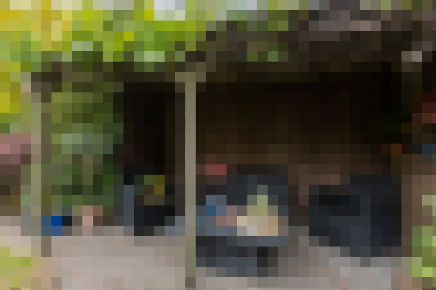 Peeberg 85 Ossendrecht thumbnail 41