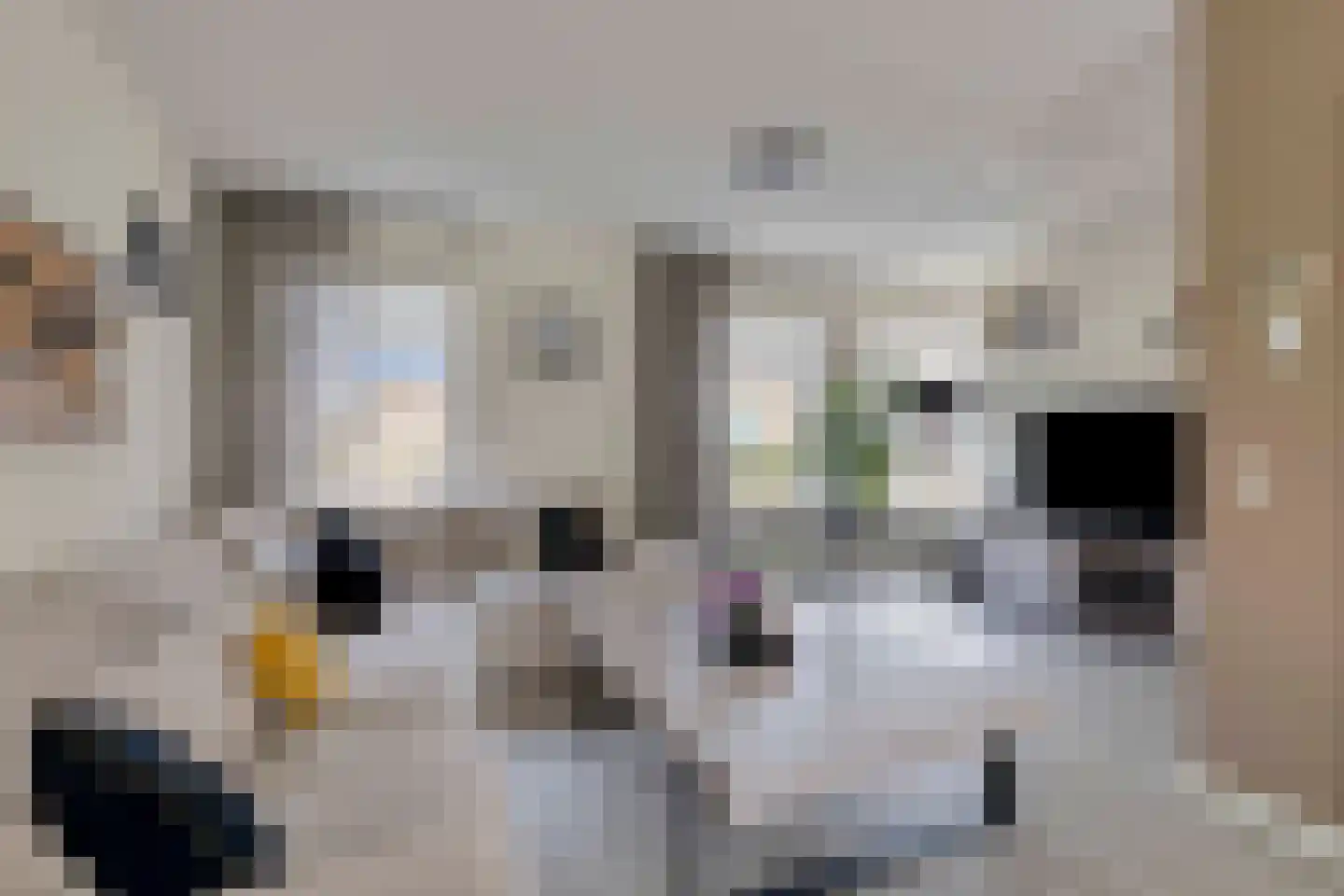 Peeberg 87 Ossendrecht thumbnail 10