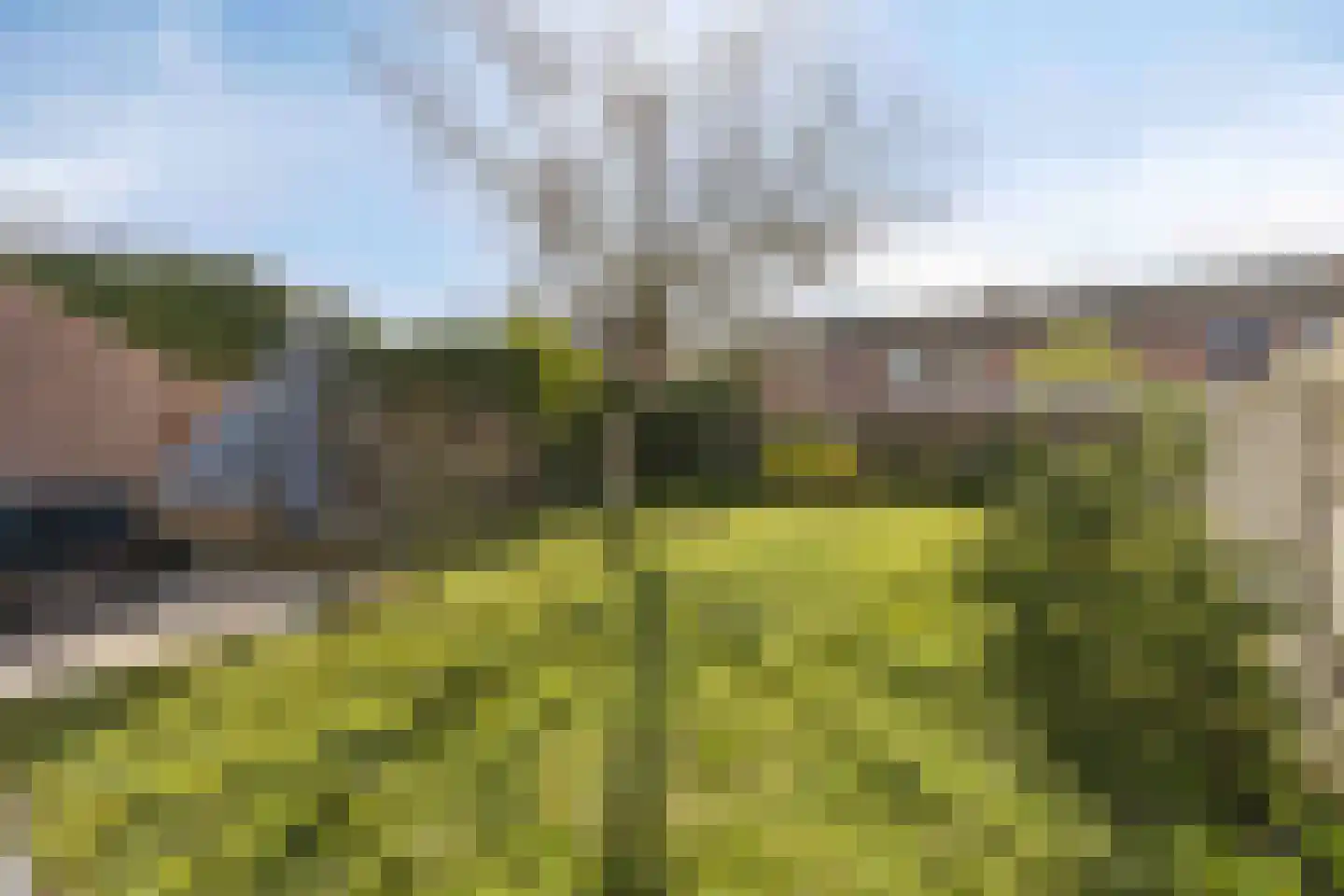 Peeberg 87 Ossendrecht thumbnail 36