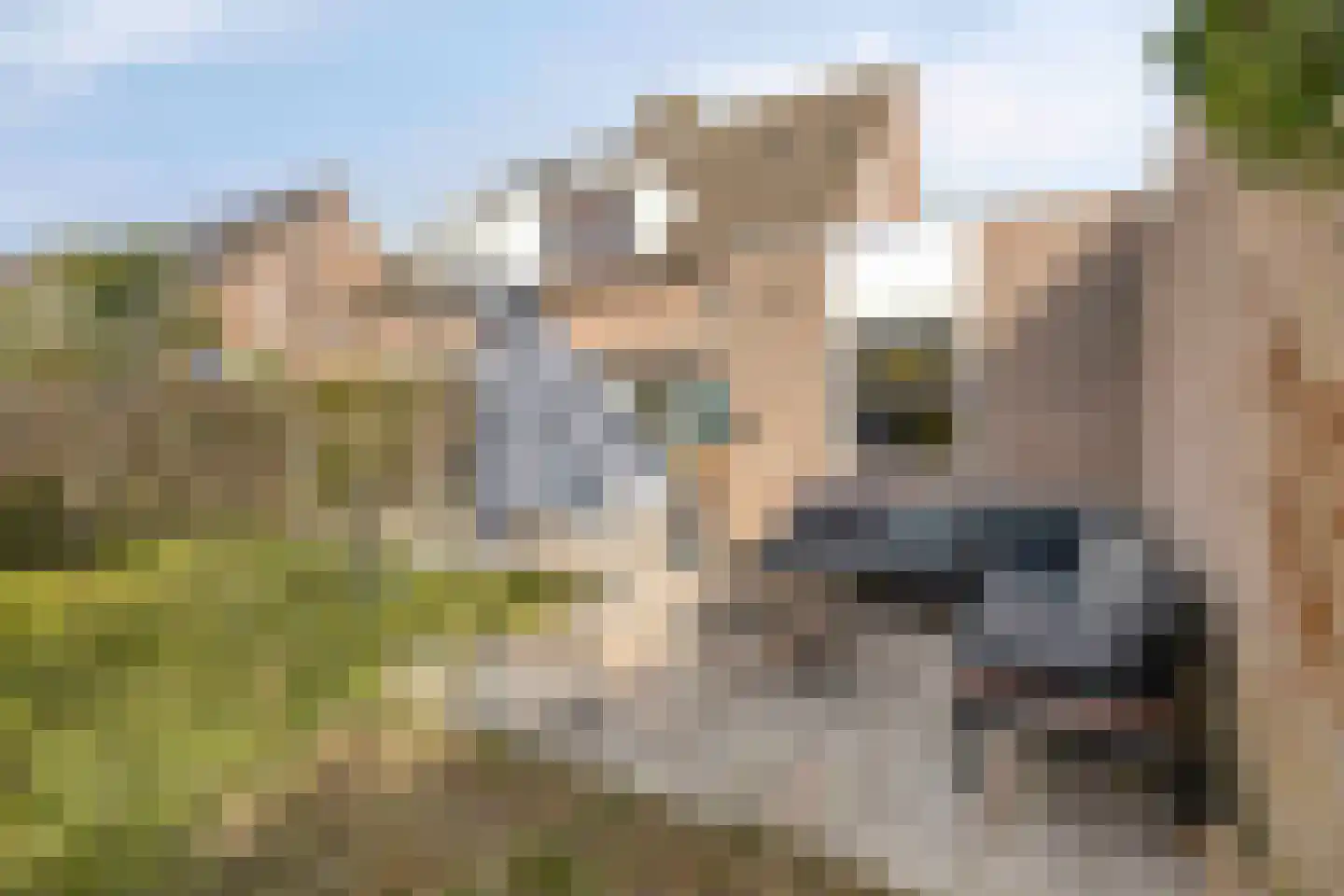Peeberg 87 Ossendrecht thumbnail 37