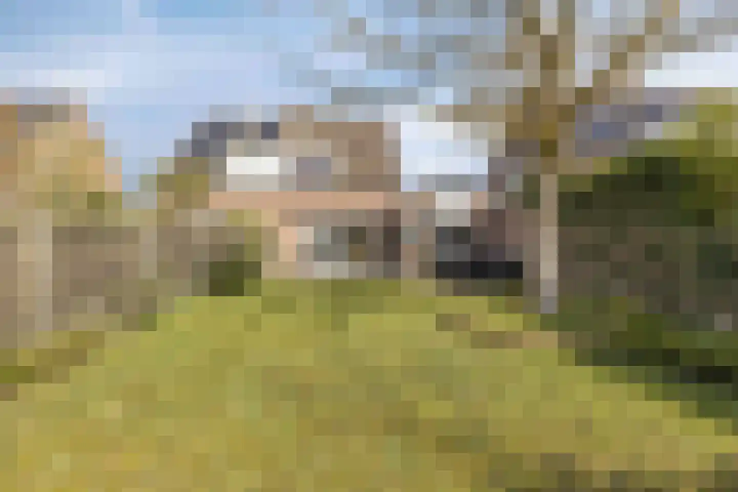 Peeberg 87 Ossendrecht thumbnail 39