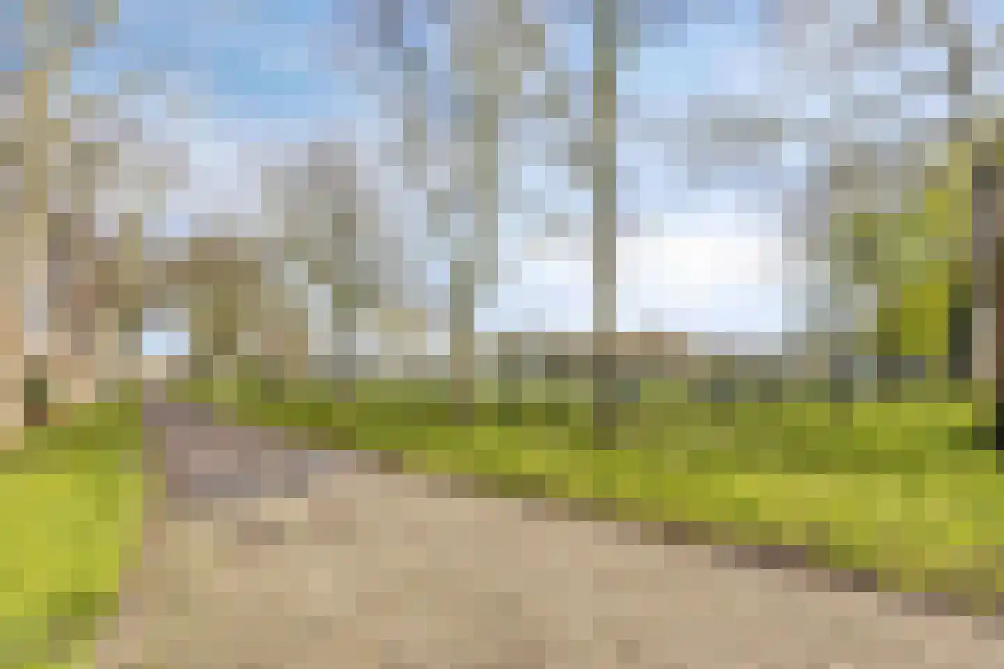 Peeberg 87 Ossendrecht thumbnail 44