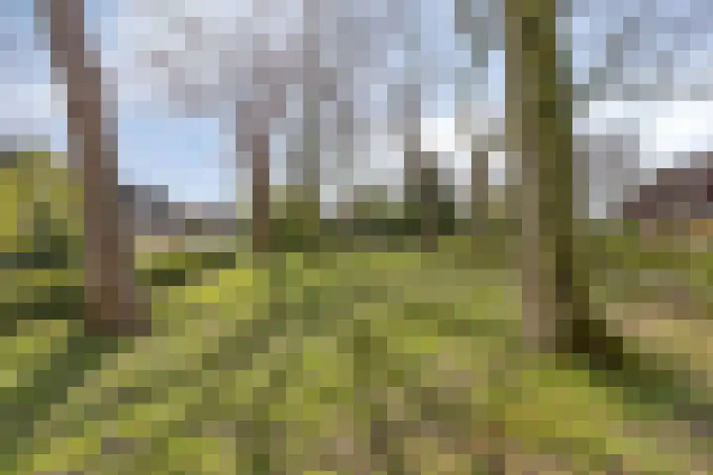 Peeberg 87 Ossendrecht thumbnail 46