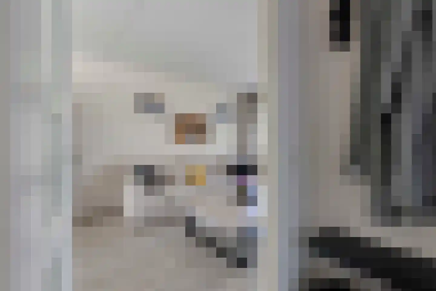 Peeberg 87 Ossendrecht thumbnail 9