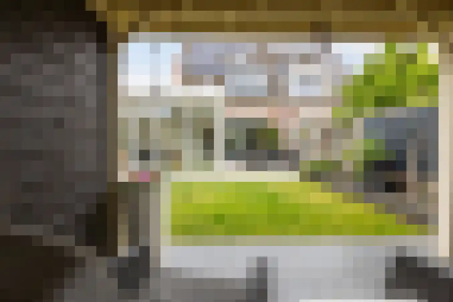 Peeberg 97 Ossendrecht thumbnail 54