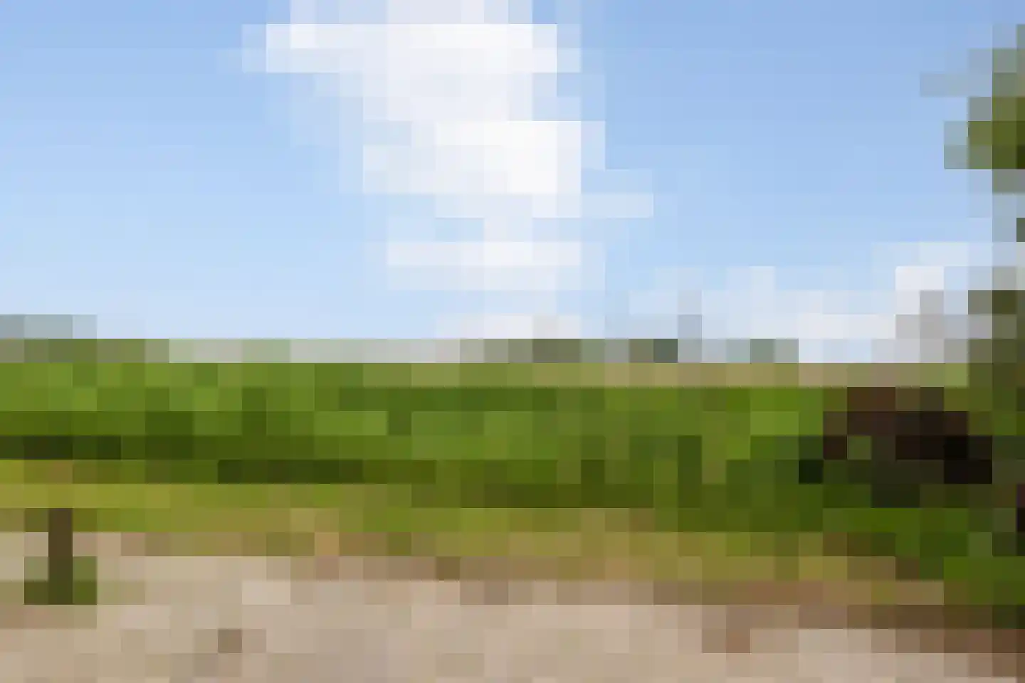 Peeberg 97 Ossendrecht thumbnail 57