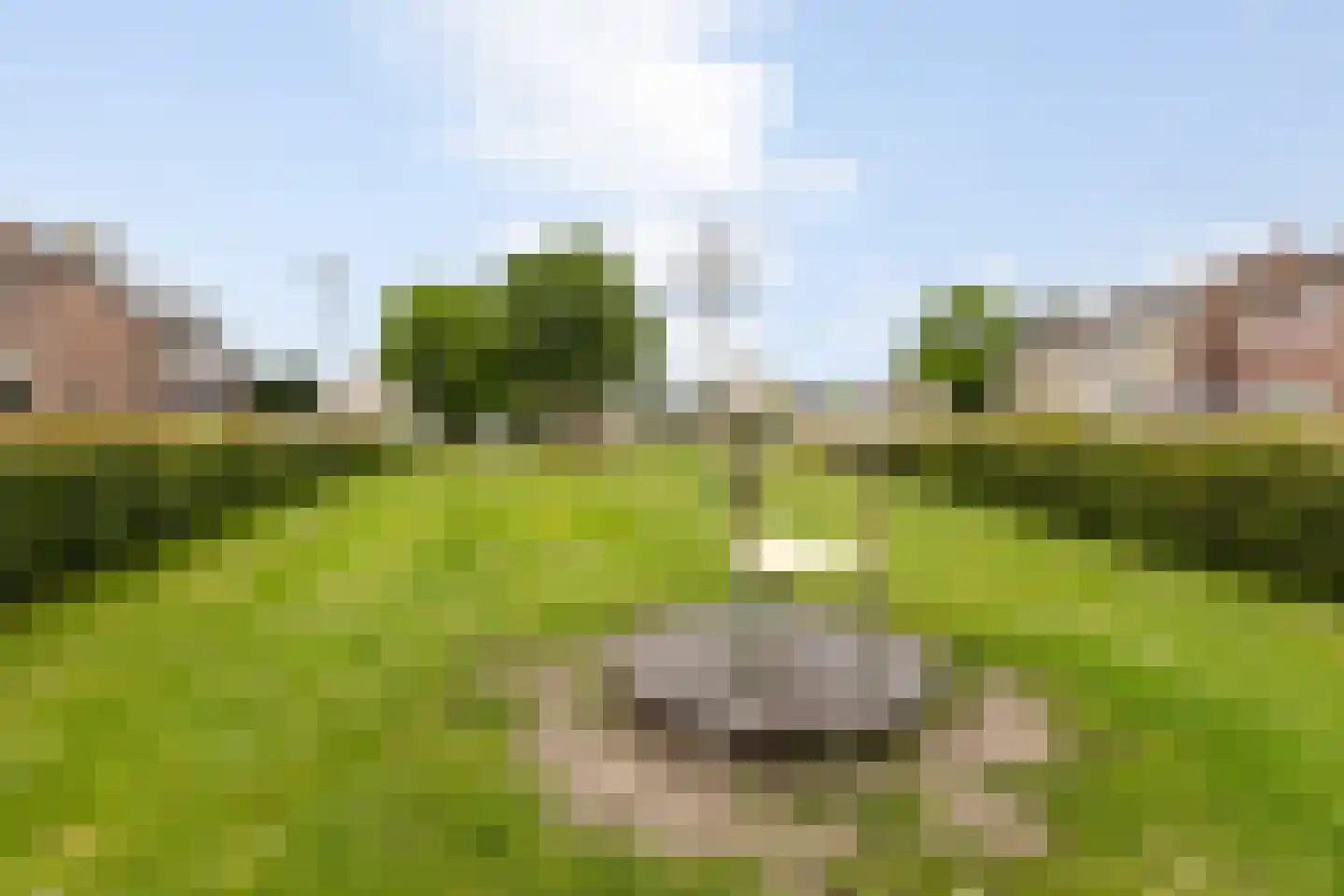 Peeberg 97 Ossendrecht thumbnail 58