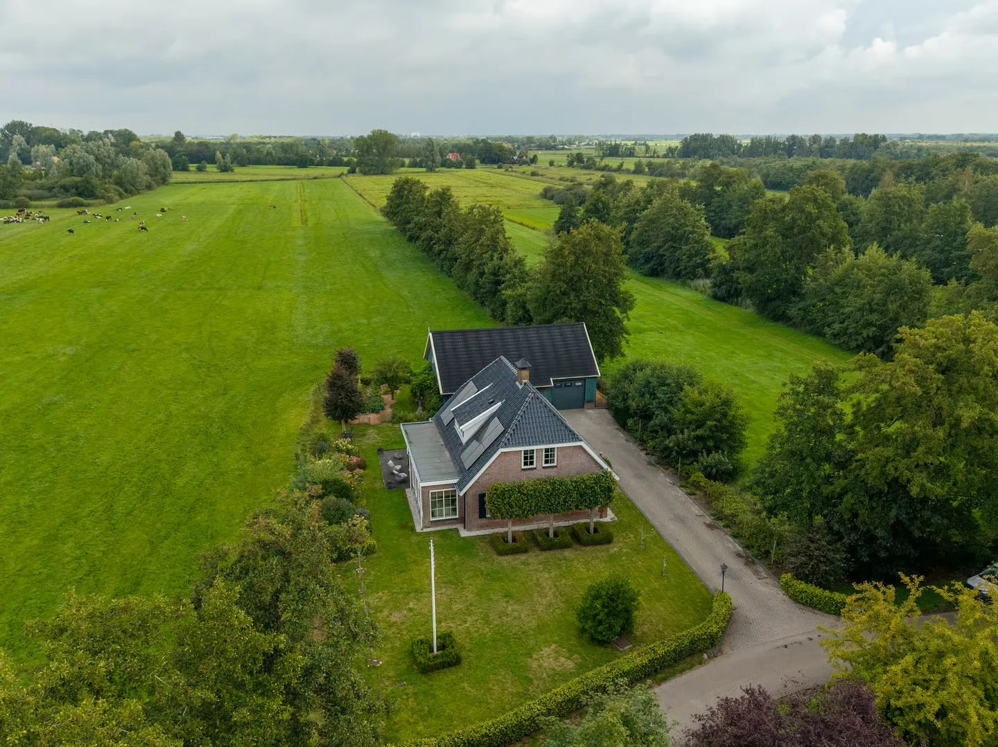 Peebos 1 in Opende