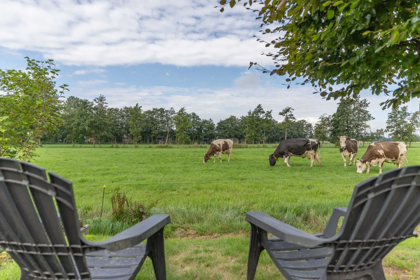 Peebos 1 Opende thumbnail 12
