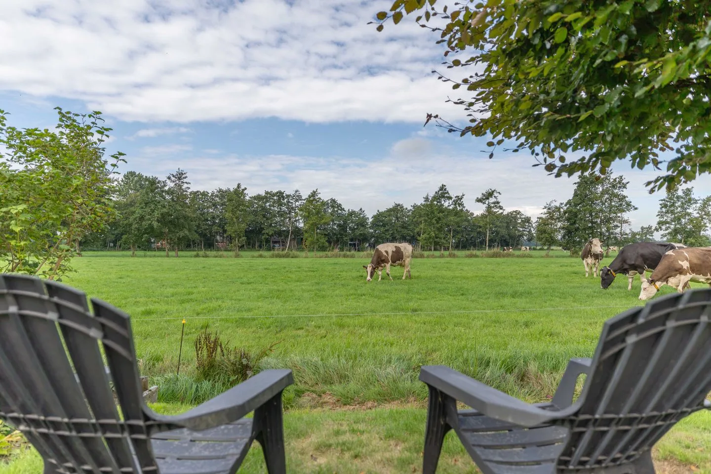 Peebos 1 Opende thumbnail 62
