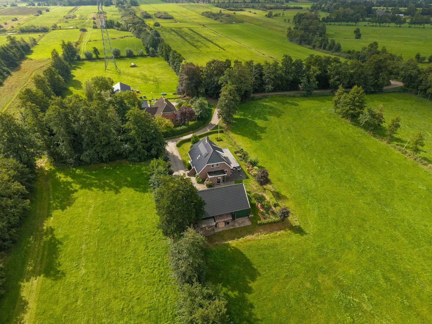 Peebos 1 Opende thumbnail 71