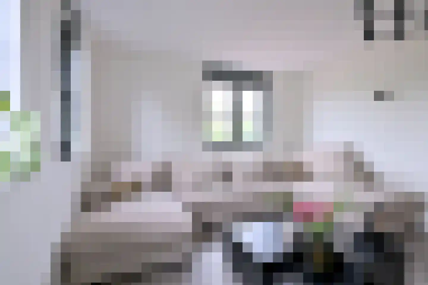 Peeke Bosmastraat 24 Deventer thumbnail 11