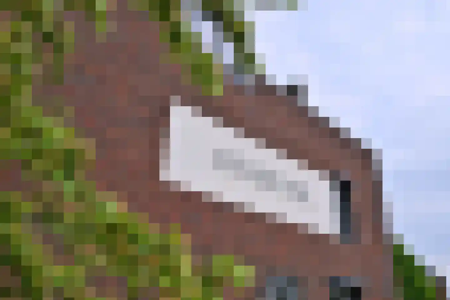 Peeke Bosmastraat 24 Deventer thumbnail 7