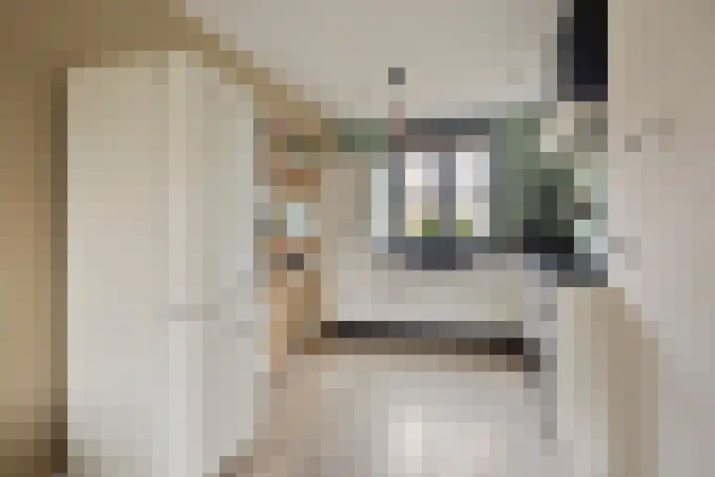 Peeke Bosmastraat 8 Deventer thumbnail 6