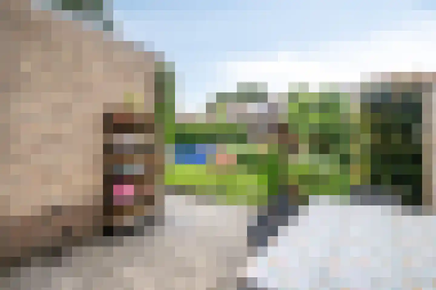 Peel 27 Dronten thumbnail 39