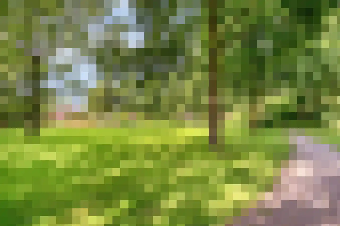Peel 27 Dronten thumbnail 44