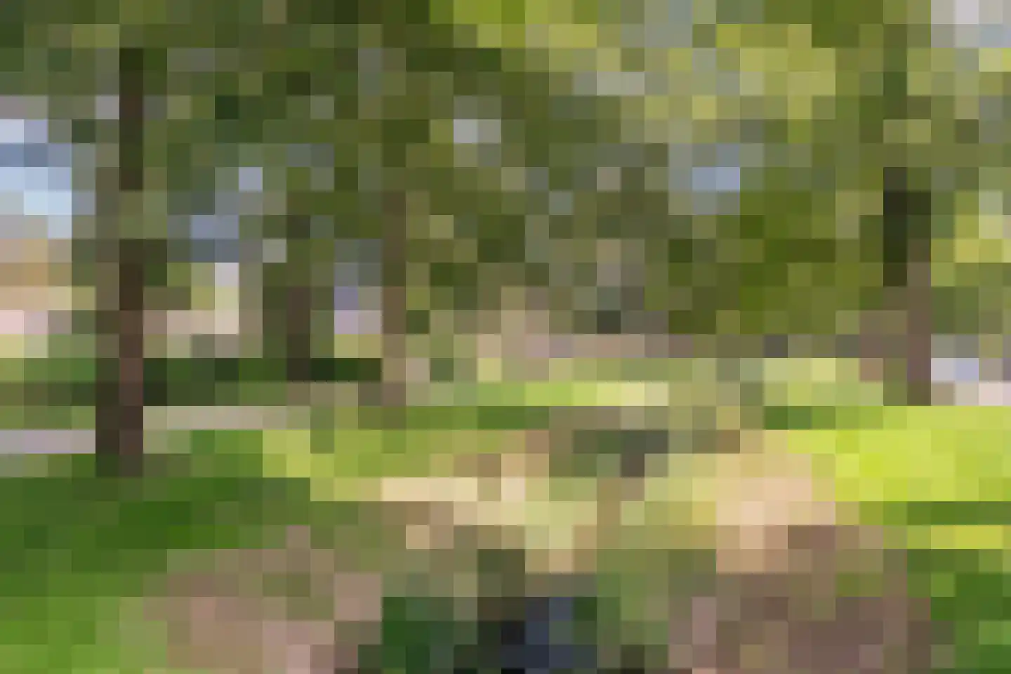 Peel 27 Dronten thumbnail 46