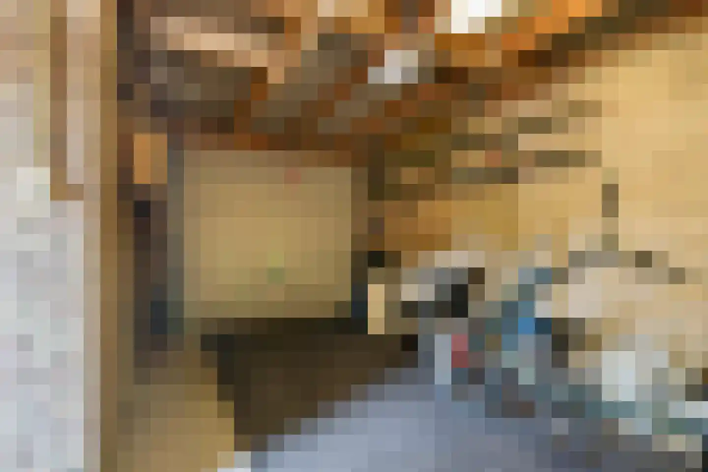 Peel 4 B Dronten thumbnail 16