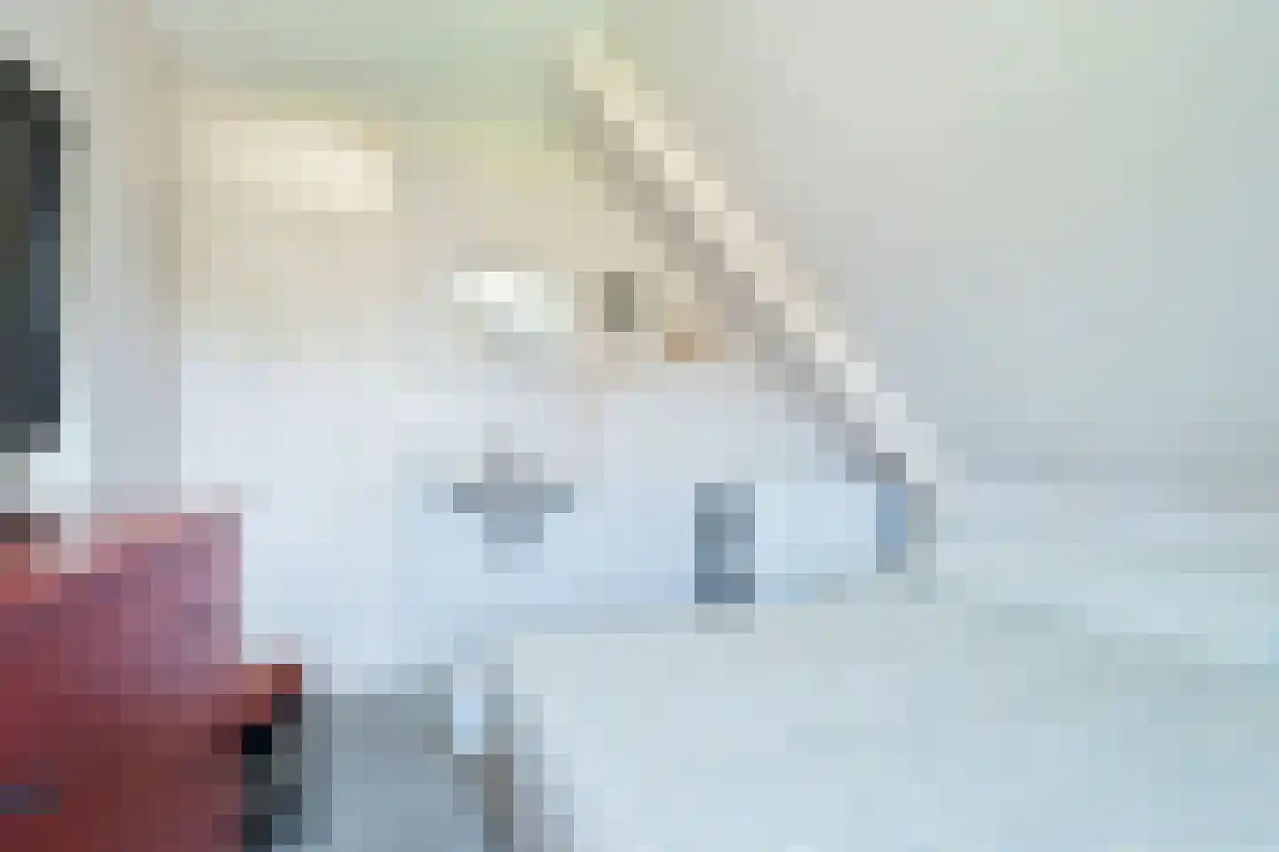 Peel 4 B Dronten thumbnail 19
