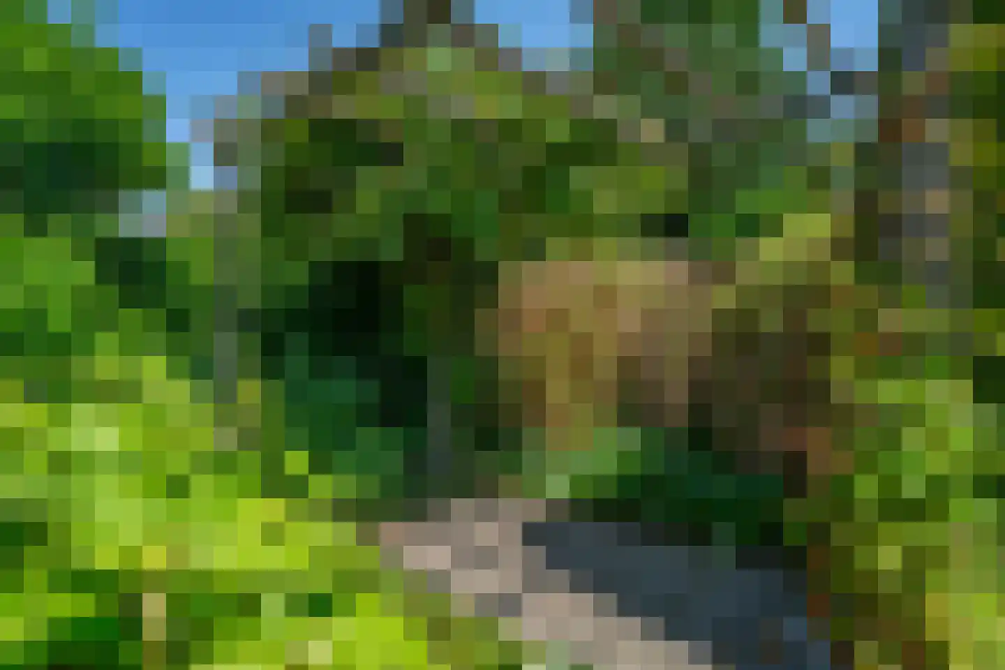 Peel 4 B Dronten thumbnail 26